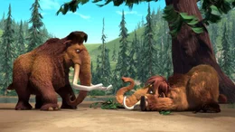 IA2-128      Manny the woolly mammoth (voiced by Ray Romano) and Ellie (voiced Queen Latifah) in ICE AGE THE MELTDOWN. Photo credit: Blue Sky Studios ICE AGE THE MELTDOWN TM & &copy; 2006 Twentieth Century Fox Film Corporation. All rights reserved. Not for sale or duplication.