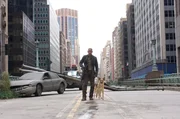 Robert Neville (Will Smith) scheint im Jahr 2012 der Letzte seiner Art zu sein ...