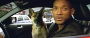 Allein gegen den Rest der Welt: Robert Neville (Will Smith) ...