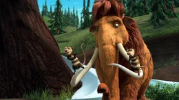 Die Opossums Crash und Eddie mit Mammutdame Ellie
