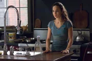 Kann Robert Anna (Alice Braga) wirklich trauen, oder ist sie, wie der Rest der Welt, ein Vampir, der ihn hinters Licht f&uuml;hren will?