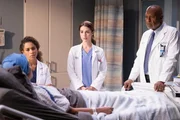 Grey's Anatomy
Staffel 19
Folge 10
Johanna Curé als Natalia Asaki, Kelly McCreary als Dr. Maggie Pierce, Adelaide Kane als Dr. Jules Millin, James Pickens Jr. als Dr. Richard Webber
SRF/ABC Studios