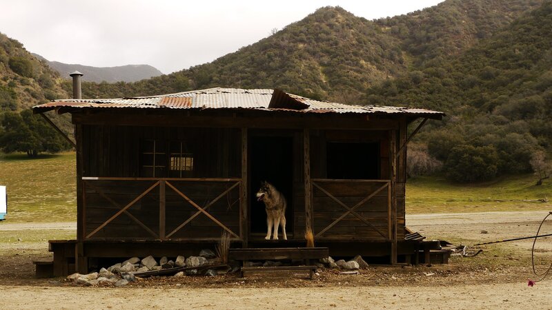 Wolf Town (USA, 2010)