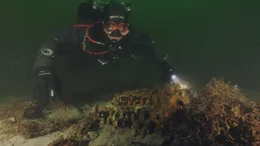 Unterwasserarch&auml;ologe Dr. Florian Huber ist sehr &uuml;berrascht, die Enigmen nach so vielen Jahrzehnten am Boden der Ostsee zu finden.