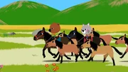 Mouk und Chavapa reiten mit Wildpferden um die Wette. Mouk und Chavapa reiten mit Wildpferden um die Wette.