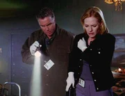 Wer ermordet eine alte Frau, die etlichen Katzen ein neues Zuhause gab? Gil (William Petersen) und Catherine (Marg Helgenberger) beginnen mit ihren Ermittlungen.