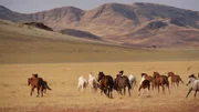 In der s&uuml;dlichen Namib leben noch Pferde in v&ouml;lliger Freiheit, ohne Kontakt zum Menschen. Farmer Wulff Izko kreuzt die Wildpferde mit europ&auml;ischen Rassen, um geeignete Reittiere f&uuml;r seine W&uuml;stenfarm zu erhalten.