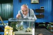 Im Aquarium versucht sich Peter Lustig (Peter Lustig) als Perlmuschelz&uuml;chter.