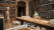 Naturhistorisches Museum, Michaela Binder. Naturhistorisches Museum, Michaela Binder.