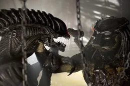 Alien and Predator