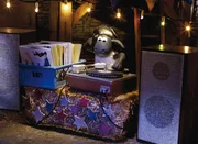 Während der Farmer versucht seinen neuen CD-Player zum Laufen zu bringen, vergnügen sich die Schafe mit dem weggeworfenen Plattenspieler samt Plattensammlung.