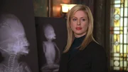Die Staatstanwältin Casey Novak (Diane Neal) zeigt den Geschworenen die Verletzungen, die ein ungeborenes Kind von Schlägen davongetragen hat.