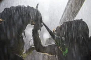 Alien and Predator