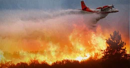 Die Taiga: das gr&ouml;&szlig;te Waldgebiet der Erde und wertvoller Sauerstofflieferant. Ein &Ouml;ko-System in Not: Erderw&auml;rmung und der Abbau von Rohstoffen zerst&ouml;ren riesige Fl&auml;chen.