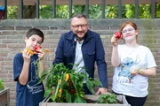 Die Schülerinnen und Schüler der Wilhelm-Lehmbruck-Schule Dorsten können nun ihr eigenes Gemüse ernten. Sie haben einige Wochen zuvor bei ihrem gemeinsamen Schulgarten-Projekt Hochbeete bepflanzt. Die Schülerinnen und Schüler der Wilhelm-Lehmbruck-Schule Dorsten können nun ihr eigenes Gemüse ernten. Sie haben einige Wochen zuvor bei ihrem gemeinsamen Schulgarten-Projekt Hochbeete bepflanzt.