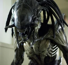 Predator