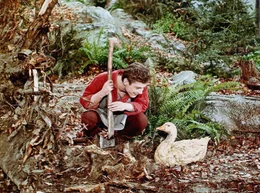 Zum Lohn f&uuml;r eine gute Tat findet der Schusterjunge Klaus beim Holzhacken im Walde eine goldene Gans.