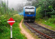 Ihre Blütezeit hatte die Mainline zur Zeit der britischen Herrschaft, als sie als Plantagenbahn zum Transport von Waren und Tee benutzt wurde.