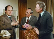 Ein Fall für Männdli — Eine Million in kleinen Scheinen — Staffel 1, Episode 11