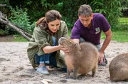 Tierärztin Dr. Susanne Mertens (Elisabeth Lanz, links) und Cheftierpfleger Conny Weidner (Thorsten Wolf, rechts) sorgen sich um Capybara-Männchen Toto. Das Wasserschwein blutet aus dem Mund und frisst nicht.