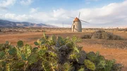 Fr&uuml;her lebten die Bewohner von Fuerteventura vom Ertrag ihrer M&uuml;hlen. Bis heute pr&auml;gen sie die Landschaft.
