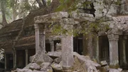 Die verlassene Tempelst&auml;tte Ta Prohm im kambodschanischen Dschungel wurde 2001 als Filmkulisse f&uuml;r Angelina Jolies ber&uuml;hmten Film &bdquo;Tomb Raider&ldquo; genutzt.
