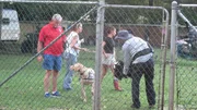 Rick, M2, Tia are filmed with Rick's personal dog.