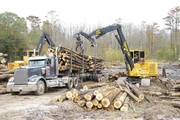 Dave loading logs onto the truck.