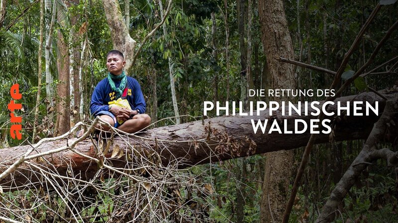 Delikado - Unter Gefahr: Die Rettung des philippinischen Waldes (GB, 2022)