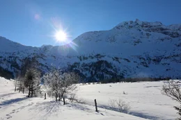 Ein "Land der Berge" &uuml;ber Sehnsuchtsorte jenseits der Baumgrenze, aber auch die Eigenverantwortung im Gebirge und damit verbunden Herausforderungen.