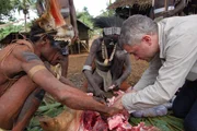 Papua-Neuguinea, Westprovinz: Piers Gibbon hilft beim Schlachten eines Schweins f&uuml;r das Willkommensfestmahl. Die Menschen wurden auf die gleiche Weise geschlachtet und gekocht, und zwar mit den gleichen Bambusmessern.