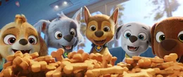 L-R: Skye, Rocky, Chase , Marshall , Zuma.