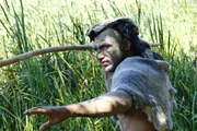 Homo Heidelbergensis der Jagdstratege.