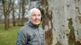Die 86-j&auml;hrige Verhaltensforscherin und Ikone des Artenschutzes Jane Goodall hat ihr gesamtes Leben dem Studium und Schutz von Tieren gewidmet.