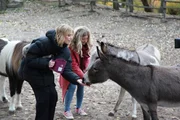 Die Eselinnen des Kinderbauernhofs fressen Lea und Michelle zutraulich aus der Hand.