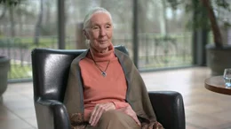 Die 86-j&auml;hrige Verhaltensforscherin und Ikone des Artenschutzes Jane Goodall hat ihr gesamtes Leben dem Studium und Schutz von Tieren gewidmet.