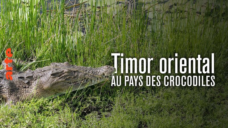 Timor-Leste - Im Land des schlafenden Krokodils (D, 2025)