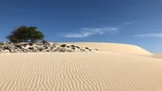 Der Wüstensand auf der Insel Boa Vista bildet die schönsten Sandstrände der Kapverden. Der Wüstensand auf der Insel Boa Vista bildet die schönsten Sandstrände der Kapverden.