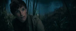 Newt Scamander (Eddie Redmayne)