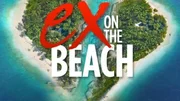 What happens when eight smoking hot single guys and girls arrive in paradise for a dream holiday of sun, sea, sex and good times? Well if only life was that simple, because just as things get off to a sizzling start, MTV bring in their Exes to break up the party - one by one!
