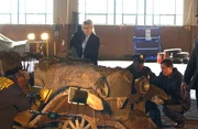 Diesmal stoßen Rush (Kathryn Morris, M.) und ihr Team auf den ältesten ungelösten Fall ihrer Dienstzeit: Als in Delaware ein Autowrack gefunden wird, das man auf das Jahr 1932 datieren kann, findet sich in ihm ein Skelett.
