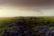 Am Mount Borredaile zeugen 20.000 Jahre alte Felsmalereien von den First Australians.