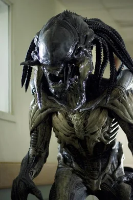 Auf einem Rauschiff entsteht eine neue Spezies aus Alien und Preditor. Als dieses Schiff in den W&auml;ldern einer kleinen amerikanischen Ortschaft abst&uuml;rzt, greifen die Predaliens die dort lebende Bev&ouml;lkerung an und t&ouml;ten skrupellos jedes Lebewesen, dass sich ihnen in den Weg stellt ...