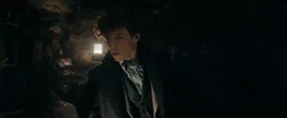 Newt Scamander (Eddie Redmayne)