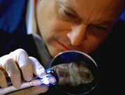 Detective Taylor (Gary Sinise) vermutet, dass der U-Bahn-Surfer erschlagen wurde.