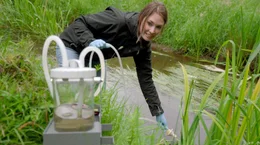 Charlotte Frie von der Universit&auml;t Duisburg-Essen nimmt eine Umwelt-DNA Probe in der Bade in Niedersachsen.