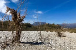 "Der Tagliamento - K&ouml;nig der Alpenfl&uuml;sse", Der Film folgt dem Tagliamento, Europas letztem ungez&auml;hmten Fluss, auf seinen 172 Kilometern L&auml;nge von den Bergen Venetiens durch Karnien bis zur M&uuml;ndung in die Adria. Zu seinem Reich geh&ouml;ren urspr&uuml;ngliche Landschaften, malerische Orte und eine einzigartige Flora und Fauna.*Im Gegensatz zu anderen Alpenfl&uuml;ssen wurden am Tagliamento bisher fast keine Regulierungsma&szlig;nahmen durchgef&uuml;hrt. Er kann sich frei durch sein bis zu zwei Kilometer breites Bett w&auml;lzen. Die zahlreichen Nebenarme, Flachwasserzonen und Totholz-Ansammlungen bieten einen idealen Lebensraum f&uuml;r eine faszinierende Pflanzen- und Tierwelt.*Er verzaubert mit seinem Farbspiel zwischen T&uuml;rkis, Azurblau und Smaragdgr&uuml;n. Im Fr&uuml;hling - zur Zeit der Schneeschmelze - oder bei Starkregen wird der "K&ouml;nig der Alpenfl&uuml;sse" zum rei&szlig;enden Strom und schiebt tonnenweise Sand und Schotter talw&auml;rts. Sediment-Ablagerungen lassen neue Inseln entstehen, auf denen sich vielerlei Pflanzenarten ansiedeln. Zahlreiche Insekten und V&ouml;gel kommen hinzu, die an verbauten Fl&uuml;ssen kaum noch Lebensr&auml;ume finden k&ouml;nnen.Die beiden Filmemacher Bj&ouml;rn K&ouml;lz und Gernot Stadler begleiten den &ouml;sterreichischen Flussforscher Klement Tockner durch Auw&auml;lder weit in das breite Flussbett des Tagliamento, wo er die Wasserqualit&auml;t und die Flie&szlig;geschwindigkeit regelm&auml;&szlig;ig pr&uuml;ft. Sein italienischer Forscherkollege Walter Bertoldi dokumentiert den Fluss seit Jahren fotografisch und erstellt Zeitraffermodelle aus hunderten Einzelbildern &uuml;ber die Ver&auml;nderungen des Flussbetts bei Hoch- und Niedrigwasser. In weniger als einem Tag kann der Fluss von etwa 30 Metern auf mehr als einen Kilometer Breite anschwellen; die Wassermenge steigt bei Hochwasser um das Zehnfache.Dem "K&ouml;nig der Alpenfl&uuml;sse" zu folgen ist eine Reise der Kontraste. Er entspringt am "Passo della Mauria", durchflie&szlig;t Karnien, nimmt die Fella aus dem Kanaltal auf und str&ouml;mt bei Gemona aus den Bergen in die Ebenen des Friaul. Weiter flussabw&auml;rts hat der Winzer Emilio Bulfon auf den H&uuml;geln und Terrassen entlang des Flusses beste Voraussetzungen f&uuml;r die Kultivierung alter, autochtoner Rebsorten gefunden.Auf den letzten Kilometern des Unterlaufes des Tagliamento haben Wind und Gezeiten zwischen Festland und Meer unz&auml;hlige Sandb&auml;nke und kleine Inseln geformt. Auf den winzigen Lagunen-Inseln stechen schilfgedeckte H&uuml;tten hervor: die sogenannten Casoni, in denen einst die Fischer &uuml;bernachteten, um sich in der Dunkelheit oder im Nebel nicht zu verirren.An der M&uuml;ndung des Tagliamento in die Adria in der Lagune von Lignano endet die filmische Reise.Eine Dokumentation von Bj&ouml;rn K&ouml;lz und Gernot Stadler  SENDUNG: 3sat - MO - 24.06.2019 - 21:00 UHR. - Veroeffentlichung fuer Pressezwecke honorarfrei ausschliesslich im Zusammenhang mit oben genannter Sendung oder Veranstaltung des ORF bei Urhebernennung.
