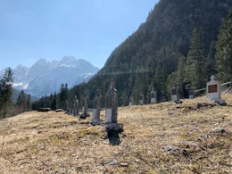 "Der Tagliamento - K&ouml;nig der Alpenfl&uuml;sse", Der Film folgt dem Tagliamento, Europas letztem ungez&auml;hmten Fluss, auf seinen 172 Kilometern L&auml;nge von den Bergen Venetiens durch Karnien bis zur M&uuml;ndung in die Adria. Zu seinem Reich geh&ouml;ren urspr&uuml;ngliche Landschaften, malerische Orte und eine einzigartige Flora und Fauna.*Im Gegensatz zu anderen Alpenfl&uuml;ssen wurden am Tagliamento bisher fast keine Regulierungsma&szlig;nahmen durchgef&uuml;hrt. Er kann sich frei durch sein bis zu zwei Kilometer breites Bett w&auml;lzen. Die zahlreichen Nebenarme, Flachwasserzonen und Totholz-Ansammlungen bieten einen idealen Lebensraum f&uuml;r eine faszinierende Pflanzen- und Tierwelt.*Er verzaubert mit seinem Farbspiel zwischen T&uuml;rkis, Azurblau und Smaragdgr&uuml;n. Im Fr&uuml;hling - zur Zeit der Schneeschmelze - oder bei Starkregen wird der "K&ouml;nig der Alpenfl&uuml;sse" zum rei&szlig;enden Strom und schiebt tonnenweise Sand und Schotter talw&auml;rts. Sediment-Ablagerungen lassen neue Inseln entstehen, auf denen sich vielerlei Pflanzenarten ansiedeln. Zahlreiche Insekten und V&ouml;gel kommen hinzu, die an verbauten Fl&uuml;ssen kaum noch Lebensr&auml;ume finden k&ouml;nnen.Die beiden Filmemacher Bj&ouml;rn K&ouml;lz und Gernot Stadler begleiten den &ouml;sterreichischen Flussforscher Klement Tockner durch Auw&auml;lder weit in das breite Flussbett des Tagliamento, wo er die Wasserqualit&auml;t und die Flie&szlig;geschwindigkeit regelm&auml;&szlig;ig pr&uuml;ft. Sein italienischer Forscherkollege Walter Bertoldi dokumentiert den Fluss seit Jahren fotografisch und erstellt Zeitraffermodelle aus hunderten Einzelbildern &uuml;ber die Ver&auml;nderungen des Flussbetts bei Hoch- und Niedrigwasser. In weniger als einem Tag kann der Fluss von etwa 30 Metern auf mehr als einen Kilometer Breite anschwellen; die Wassermenge steigt bei Hochwasser um das Zehnfache.Dem "K&ouml;nig der Alpenfl&uuml;sse" zu folgen ist eine Reise der Kontraste. Er entspringt am "Passo della Mauria", durchflie&szlig;t Karnien, nimmt die Fella aus dem Kanaltal auf und str&ouml;mt bei Gemona aus den Bergen in die Ebenen des Friaul. Weiter flussabw&auml;rts hat der Winzer Emilio Bulfon auf den H&uuml;geln und Terrassen entlang des Flusses beste Voraussetzungen f&uuml;r die Kultivierung alter, autochtoner Rebsorten gefunden.Auf den letzten Kilometern des Unterlaufes des Tagliamento haben Wind und Gezeiten zwischen Festland und Meer unz&auml;hlige Sandb&auml;nke und kleine Inseln geformt. Auf den winzigen Lagunen-Inseln stechen schilfgedeckte H&uuml;tten hervor: die sogenannten Casoni, in denen einst die Fischer &uuml;bernachteten, um sich in der Dunkelheit oder im Nebel nicht zu verirren.An der M&uuml;ndung des Tagliamento in die Adria in der Lagune von Lignano endet die filmische Reise.Eine Dokumentation von Bj&ouml;rn K&ouml;lz und Gernot Stadler  SENDUNG: 3sat - MO - 24.06.2019 - 21:00 UHR. - Veroeffentlichung fuer Pressezwecke honorarfrei ausschliesslich im Zusammenhang mit oben genannter Sendung oder Veranstaltung des ORF bei Urhebernennung.