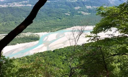 Der Tagliamento ist der letzte wilde Fluss in den Alpen. Ungez&auml;hmt bricht er sich durch die schroffen Berge im Nordosten Italiens und bahnt sich seinen Weg &uuml;ber 170 Kilometer durch die friulanische Tiefebene bis zu seiner M&uuml;ndung in die Adria. Die Inseln in seinem Flussbett und die W&auml;lder an seinen Ufern gelten als die artenreichsten &Ouml;kosysteme Europas. Die Forschungsergebnisse des Gew&auml;sser&ouml;kologen Klement Tockner und seiner Kolleginnen und Kollegen haben geholfen zu verstehen, wie andere, bereits ver&auml;nderte Fl&uuml;sse renaturiert werden k&ouml;nnen. Vor allem der verzweigte Mittellauf ist der am meisten gef&auml;hrdete Gew&auml;ssertypus. Denn am &Uuml;bergang von den Alpen in das Tiefland haben sich die Menschen schon immer besonders gerne angesiedelt. Zwar kann ein m&auml;chtiger Strom bei Hochwasser eine gro&szlig;e Gefahr darstellen, aber je nat&uuml;rlicher er bleibt, desto mehr R&uuml;ckhalteverm&ouml;gen besitzt er auch. Die Bewohnerinnen und Bewohner im Umfeld des Tagliamento haben ihre D&ouml;rfer aus Respekt vor dem Hochwasser-Risiko meist in sicherer Entfernung zum Fluss gebaut und dadurch gr&ouml;&szlig;ere Probleme fast immer vermieden. Seit Jahrhunderten bildet der Tagliamento in erster Linie die Lebensgrundlage f&uuml;r die Menschen an seinen Ufern. Die gesamte Landwirtschaft der friulanischen Tiefebene ist von ihm abh&auml;ngig. Die Dokumentation f&uuml;hrt ihr Publikum durch die variantenreichen Regionen entlang des Tagliamento und er&ouml;ffnet ein tieferes Verst&auml;ndnis f&uuml;r die &ouml;kologischen Zusammenh&auml;nge zwischen Mensch und Fluss.