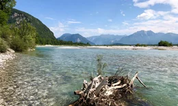 Tagliamento, Europas letztem ungez&auml;hmten Fluss
